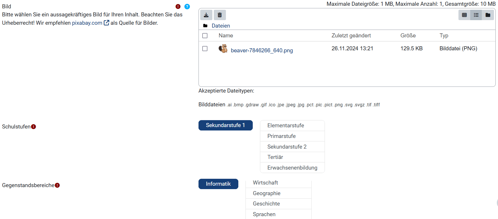 Bild, Schulstufen, Gegenstandsbereiche